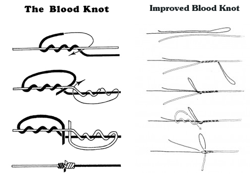 blood knot