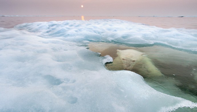 1681522-slide-picture-18