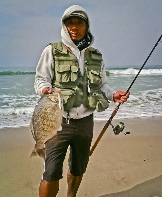 a 17.75 inch,barred surf perch landed by Mitch Orquiola! sweet! photo by Mitch Orquiola