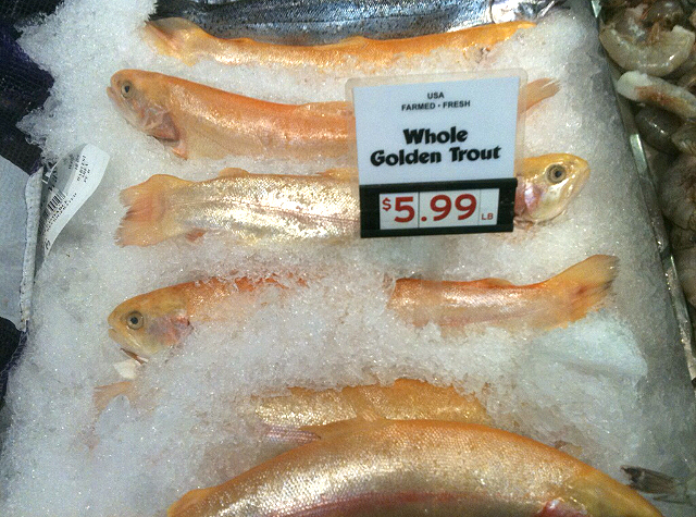 faux golden trout on sale in portland. photo by john whitaker