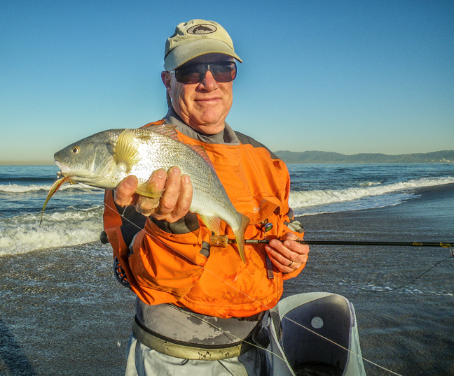 Surf buddy Jim Solomon with a fine yellowfin croaker that ate a small clouser in tight...photo by Al Q