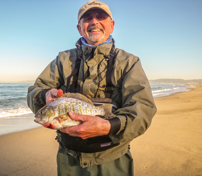 pop fly with a fat barred surf perch that was released. photo by Al Q