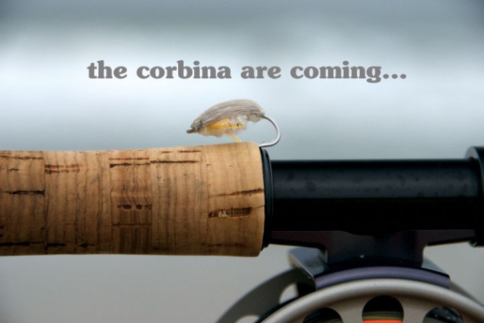 photo and by by Al Q