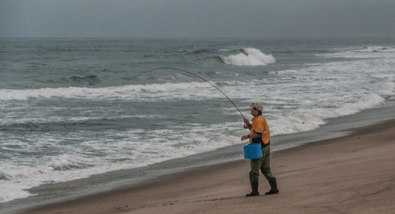 Bob Middo attached to a local yellow fin croaker. photo by Al Q