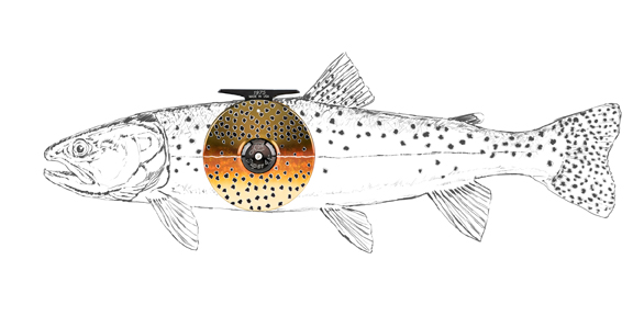 drawing and design by Al Q for Abel Fly Reels