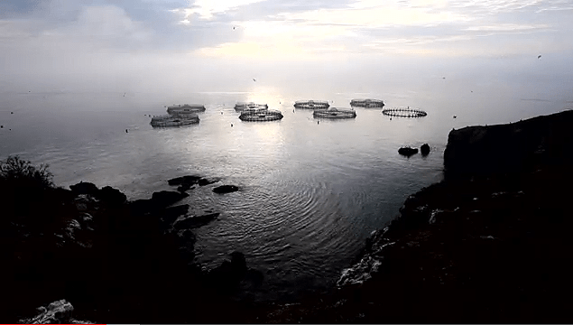 Screen shot 2013-05-30 at 4.25.39 PM