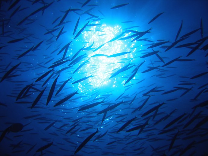 photo courtesy of trekearth.com