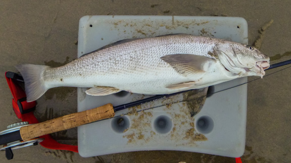 photo by John Whitaker