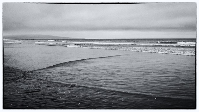a lone corbina slides back to the safety of deeper water. photo by Al Q