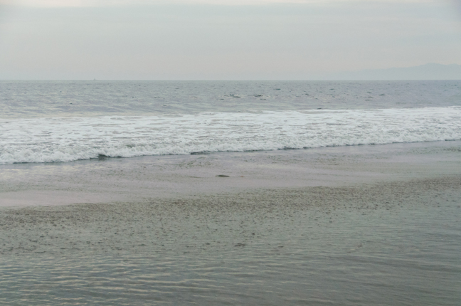 big corbina sliding. photo by Al Q