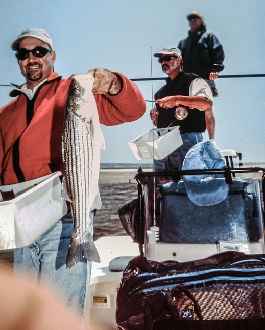 a schoolie on the fly with nick curcione.