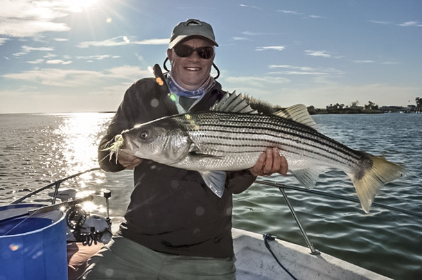 Angler Jim Solomon lands a clean eleven pounder last Monday, fly fishing with delta guru Dan Blanton. photo courtesy of Dan Blanton