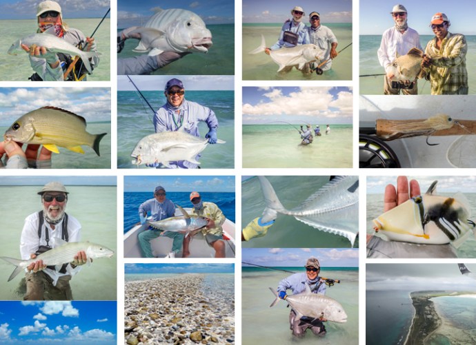 misc photos by joe/jan knapik, peter koga, zino nakasuji and john whitaker.