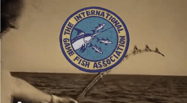 image courtesy of you tube