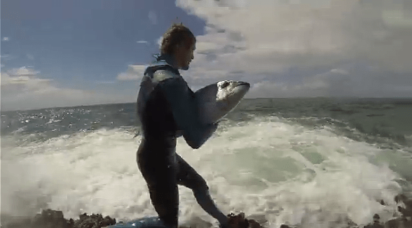 Screen Shot 2014-05-06 at 10.24.59 AM