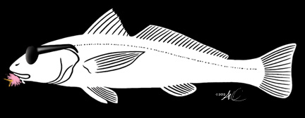 artwork by Al Quattrocchi