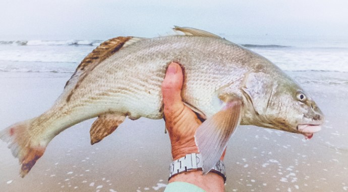 JS_beana_filmfade_cc_-2