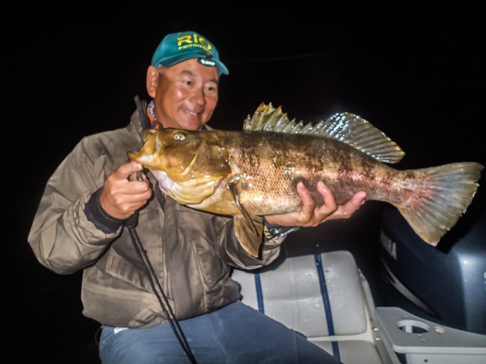 nice night time calico bass landed by Glenn Ueda. photo by Glen Ueda.