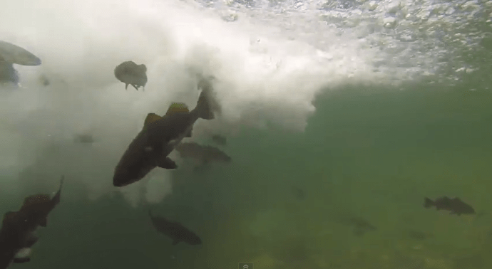 Screen Shot 2014-08-06 at 8.38.33 AM