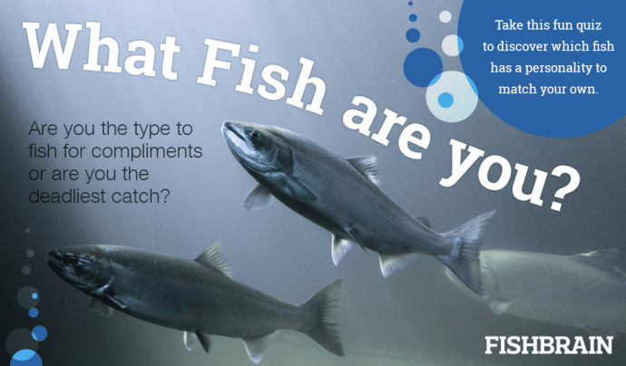 Screen Shot 2014-10-02 at 1.49.58 PM