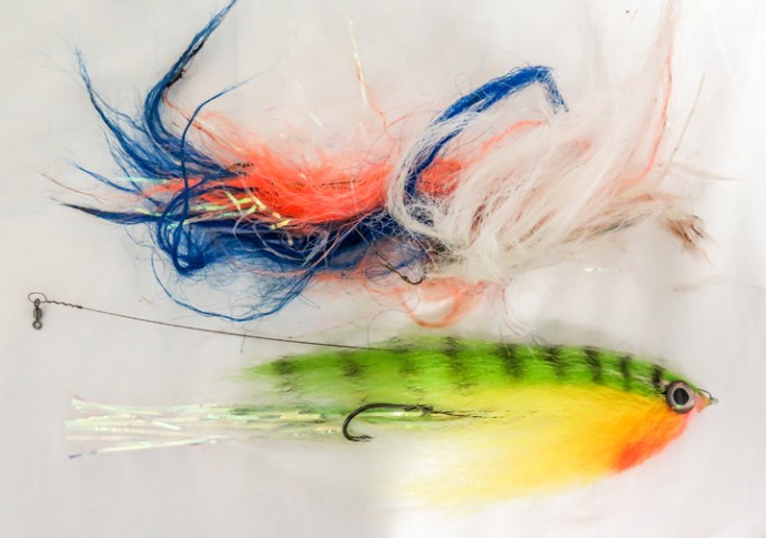 It's usually one fly per wahoo! Photo by Al Q