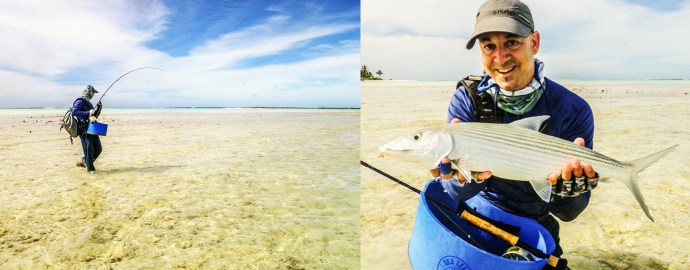 Photos by Zino Nakasuji