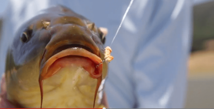 Screen Shot 2015-01-06 at 2.23.35 PM