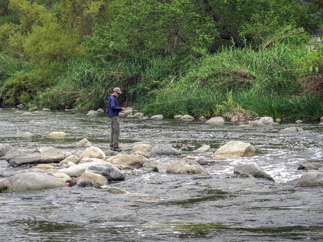Nick Blixt changing flies. Photo by Al Q