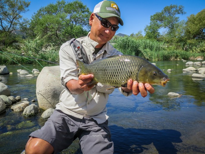 This guy ate one of Glenn's pink bonefish puffs and jumped on it on the first cast. Photo by Al Q