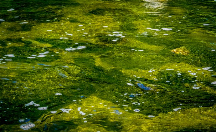 clean and green. Photo by AL Q