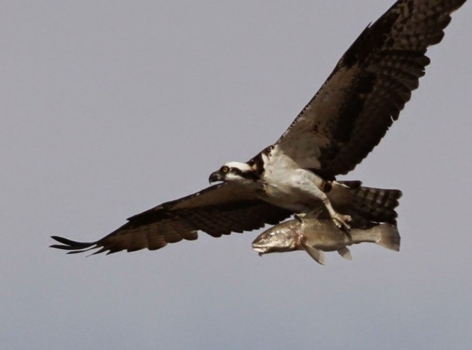 photo courtesy of Jo Quinn's blog post.