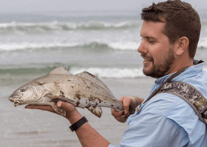 A nice corbina landed by fellow angler Regan Kline last weekend on a pink merkin tied by me. LOL Photo by Regan Kline.