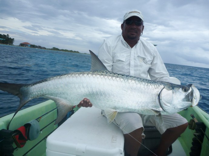 Original Photo by Wade Yoshi