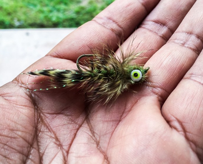 A olive sculpin designed for freshwater is one of Alex's go to corbina patterns.