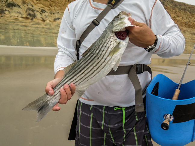 photo by Al Quattrocchi