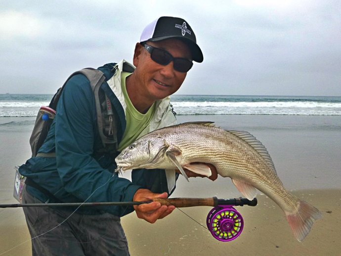 another nice corbina fair hooked on a sparse grizzly hackle fly by the master, Glen Ueda. Photo by Jim Solomon