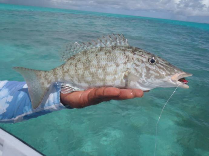 11870665_692921664171510_8437365627922852786_n