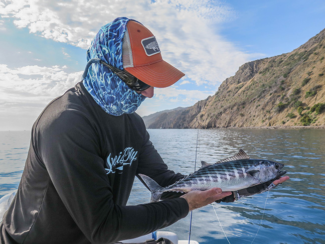 fun little speedsters on the fly.