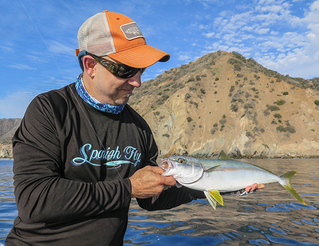 another fly caught firecracker yellow. 