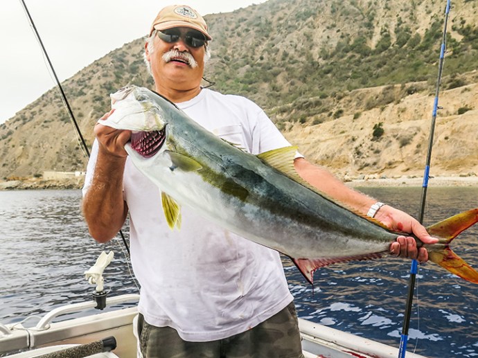 AlQ_Rich_Yello_sardine1_WEB