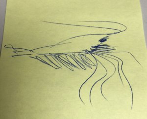 Original sketch for the utlra shrimp fleye by Bob Popovics
