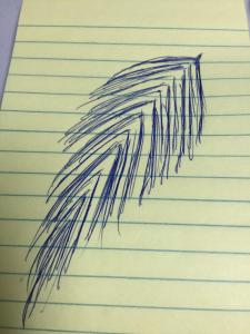 original sketch by Bob Popovics