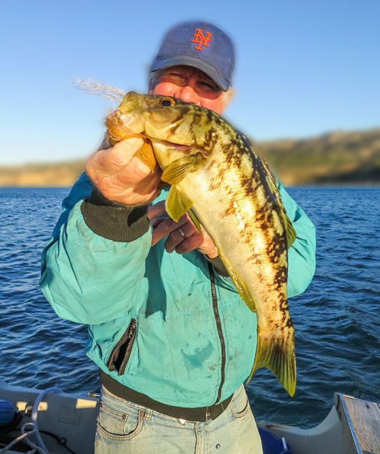 Quality fish Photo by Al Q