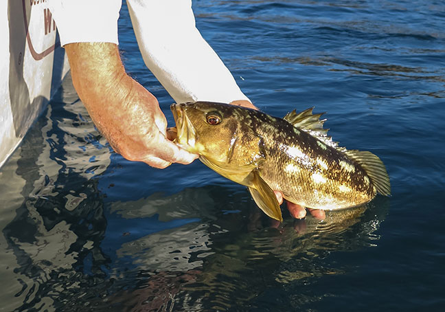 Great way to end the day. Photo by Al Q