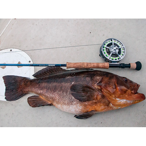 Qman_bass_rod_webSmall