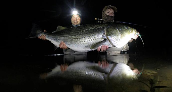 post-69193-0-58147600-1479745094