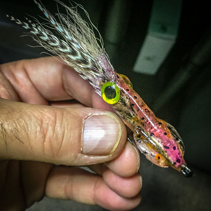 alq_somerset_qsquid_web