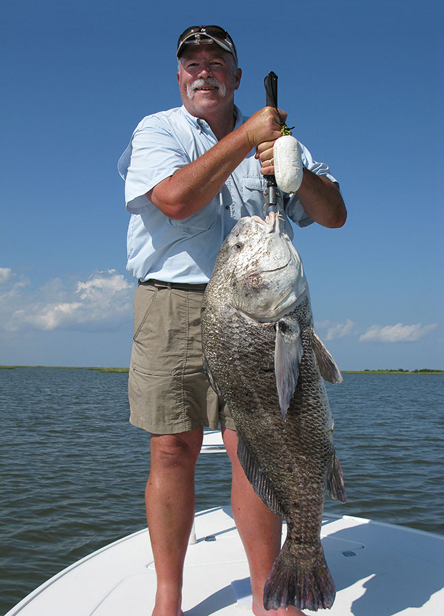 black-drum-46_2010_WEB