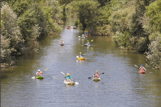 Screen Shot 2018-05-21 at 3.52.36 PM