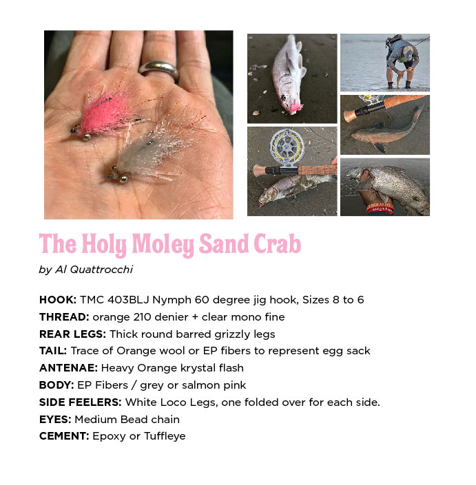 Holy_moley_sandcrab
